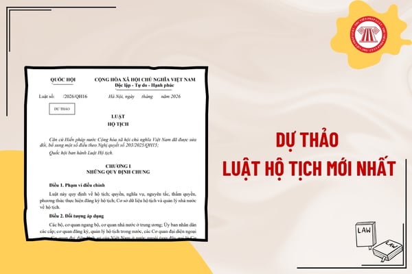 Pháp luật
