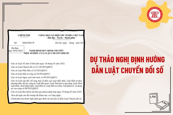 Pháp luật
