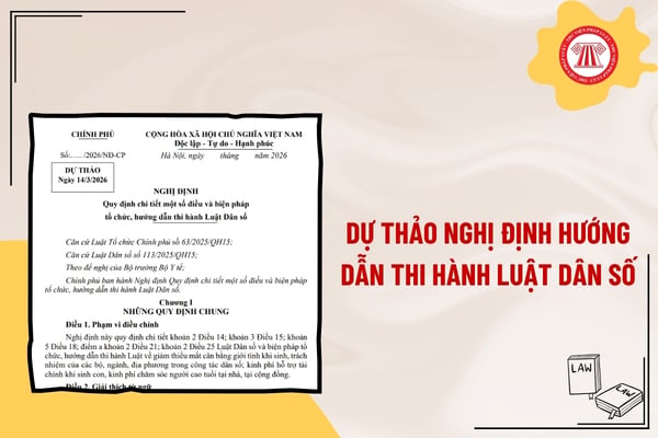 Pháp luật
