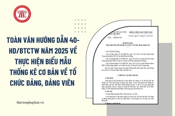 Pháp luật