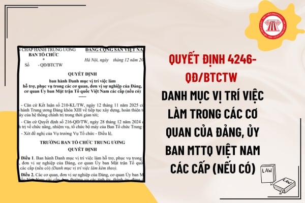 Pháp luật