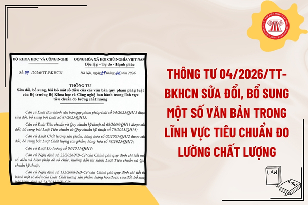Pháp luật