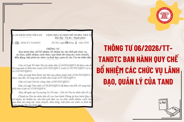 Pháp luật