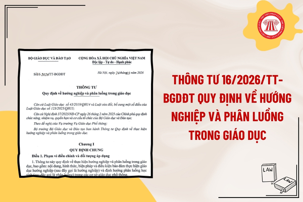 Pháp luật
