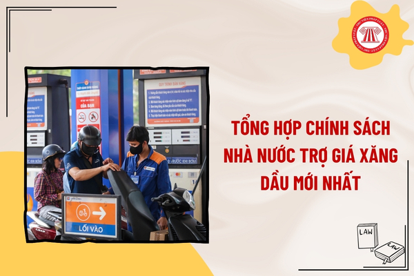 Pháp luật