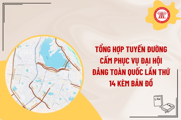 Pháp luật