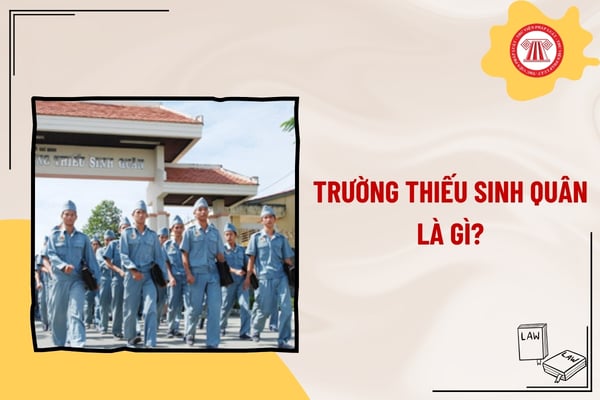 Pháp luật