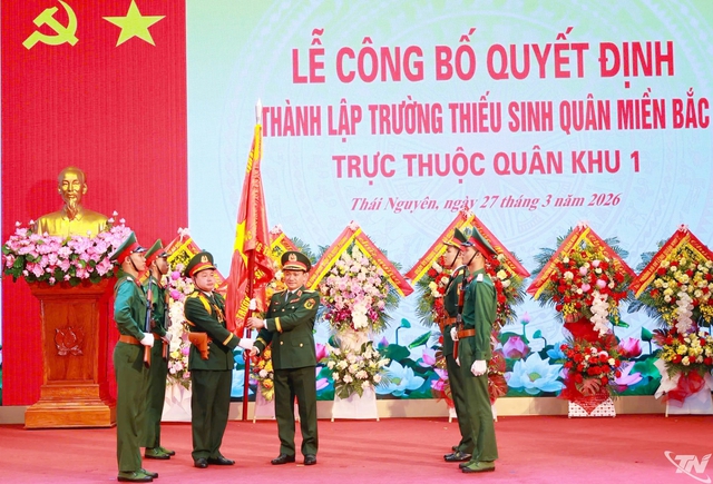 Pháp luật