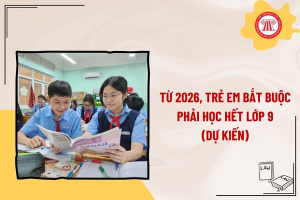 Pháp luật