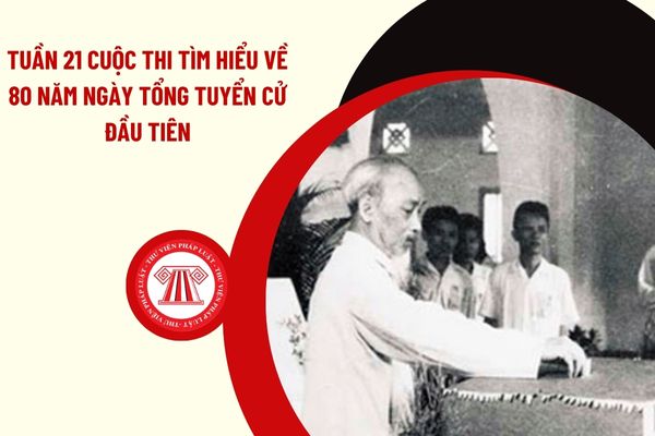 Pháp luật