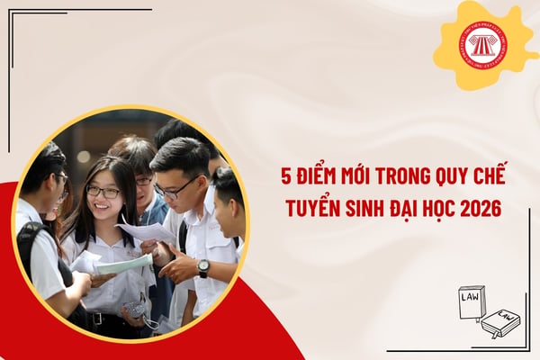 Pháp luật