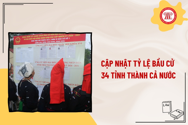 Pháp luật