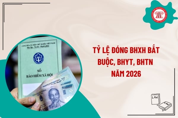 Pháp luật