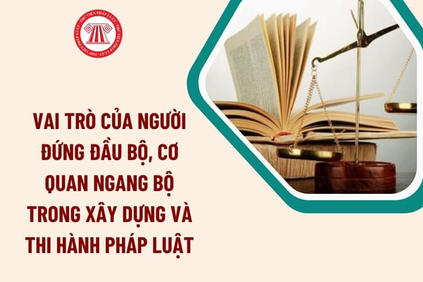 Pháp luật