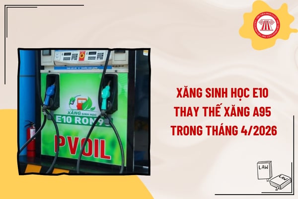 Pháp luật