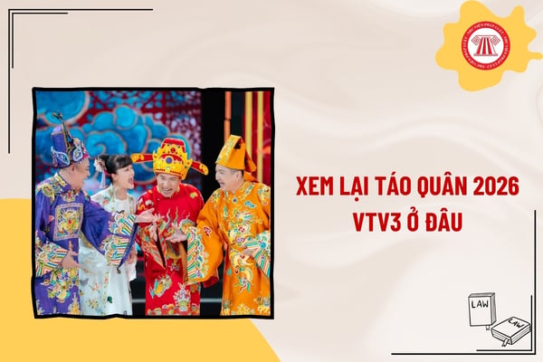 Pháp luật