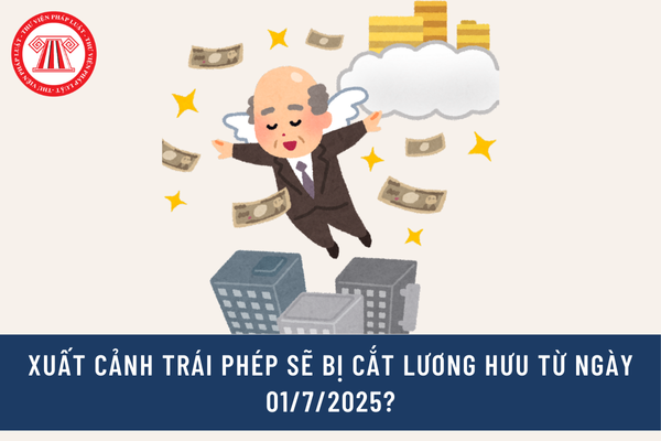 Pháp luật