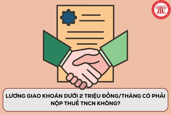 Pháp luật