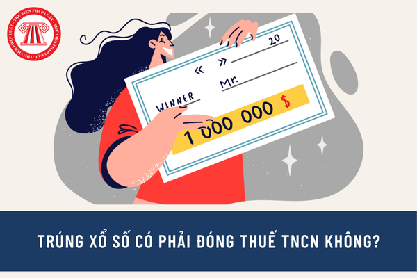 Pháp luật