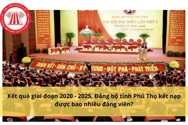 Pháp luật