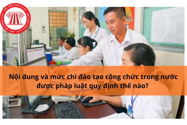 Pháp luật