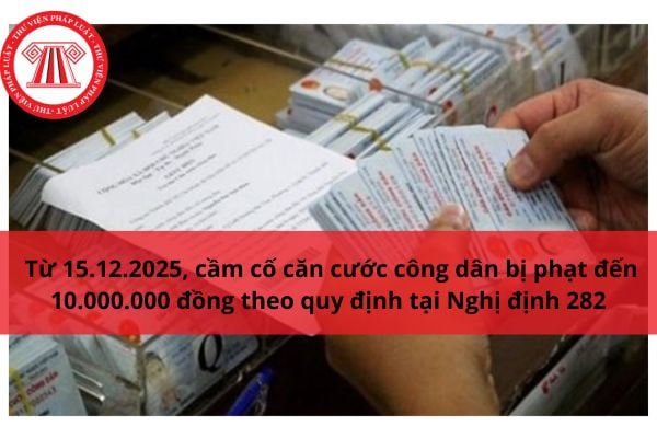 Pháp luật