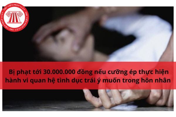 Pháp luật
