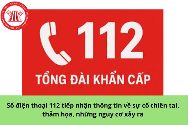 Pháp luật