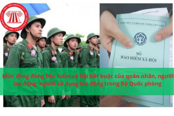 Pháp luật