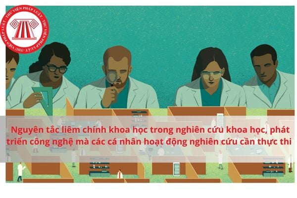 Pháp luật