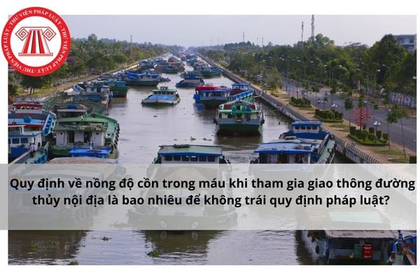 Pháp luật