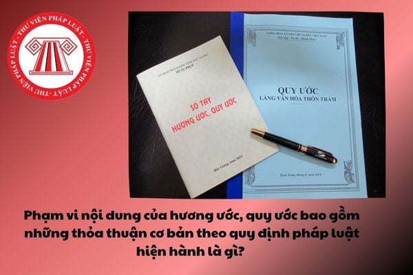 Pháp luật