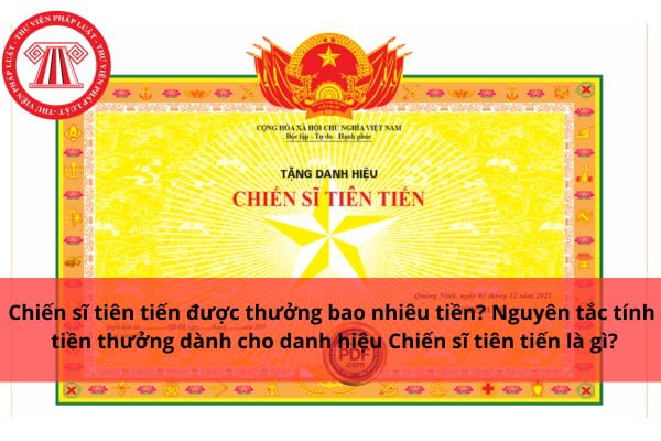 Pháp luật