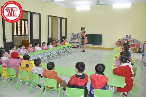 Pháp luật