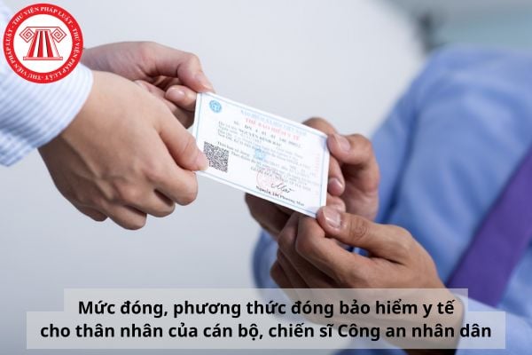 Pháp luật