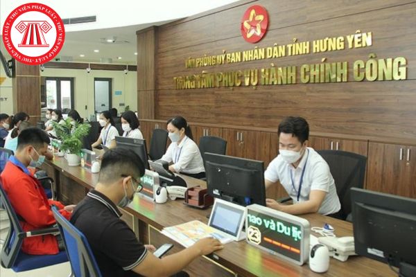 Pháp luật