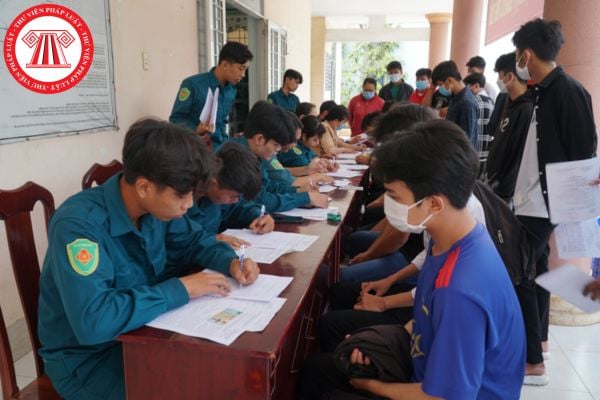 Pháp luật