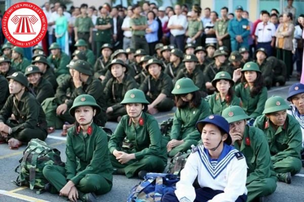 Pháp luật