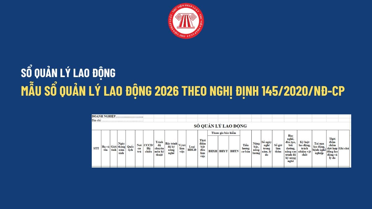 Pháp luật