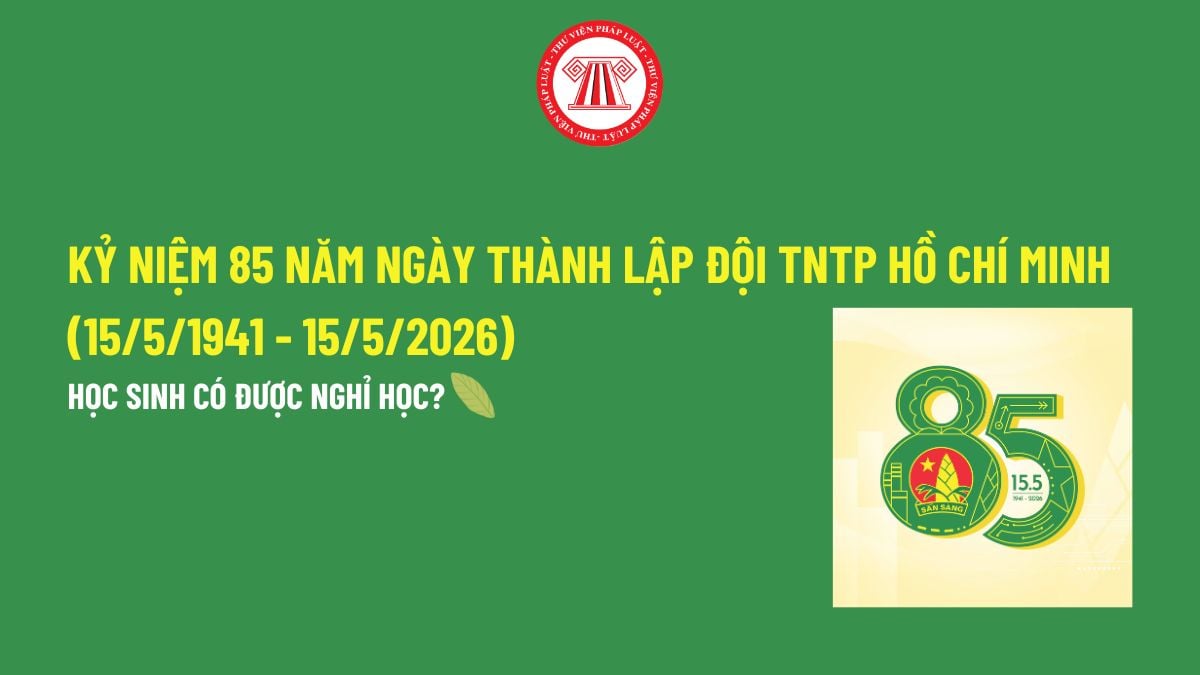 Pháp luật