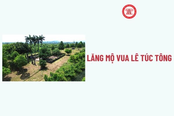 Pháp luật