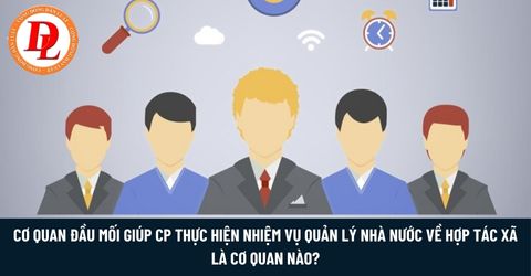 Cơ quan đầu mối giúp Chính phủ thực hiện nhiệm vụ quản lý nhà nước về hợp tác xã là cơ quan nào?