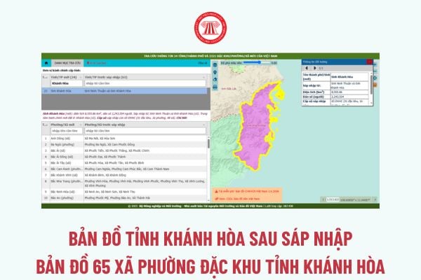 Pháp luật