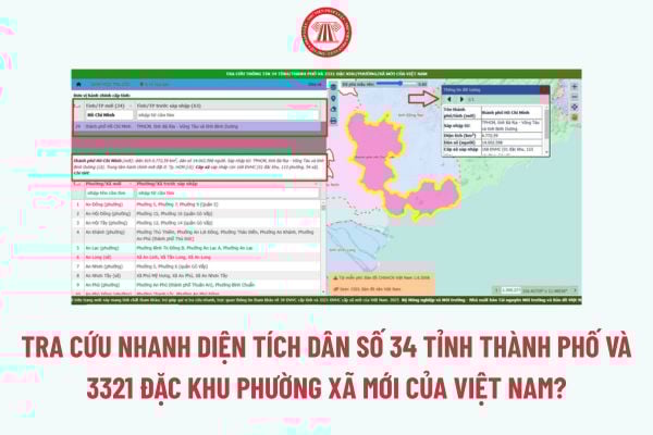 Pháp luật