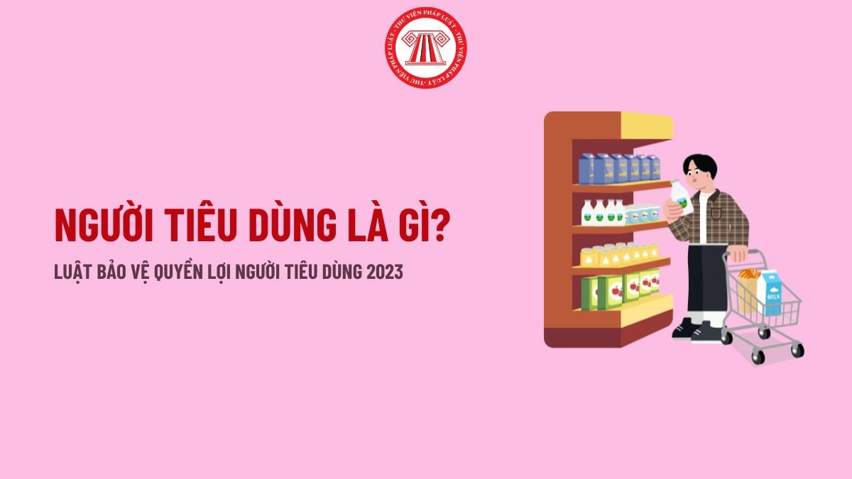 Pháp luật