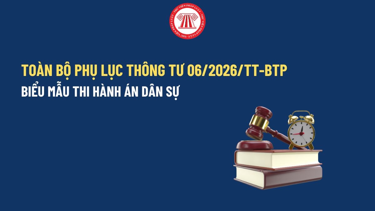 Pháp luật