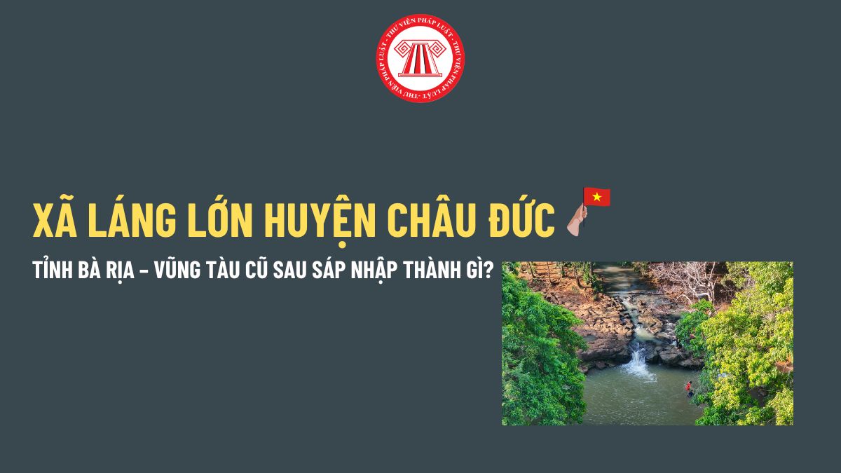 Pháp luật