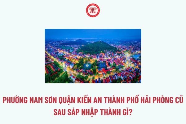 Pháp luật