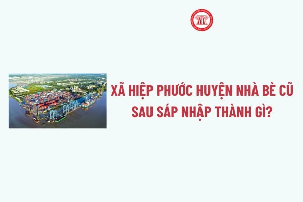 Pháp luật