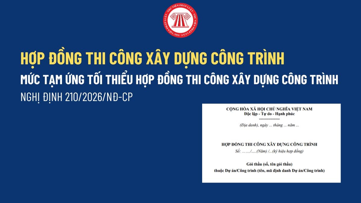 Pháp luật